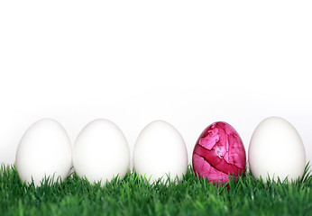 Image showing A pink egg between the white