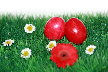 Image showing Red Easter eggs in the grass