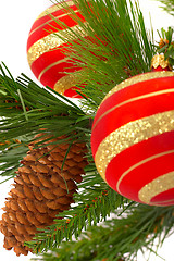 Image showing Christmas fur-tree on a white background with a ball