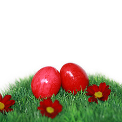 Image showing Two eggs on a green field with red flowers