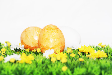 Image showing yellow Easter Eggs