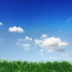 Image showing green field and blue sky