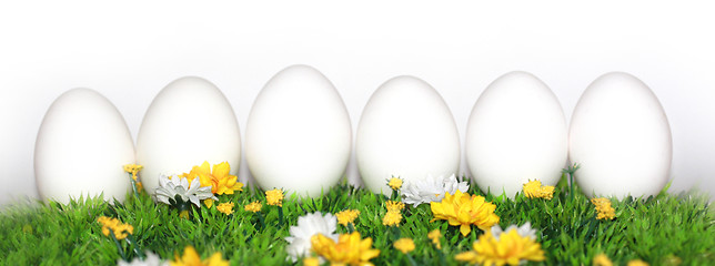 Image showing 6 white eggs