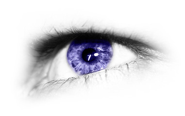 Image showing eye isolated