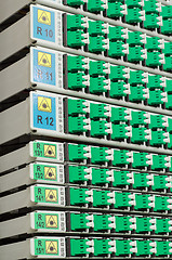 Image showing fiber optic rack with high density of blue and green SC connectors