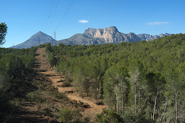 Image showing Firebreak