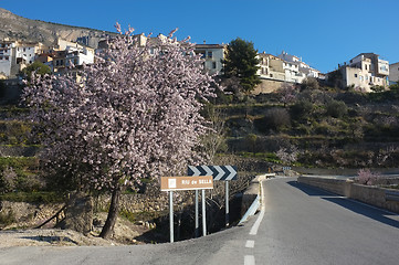 Image showing Senic bridge