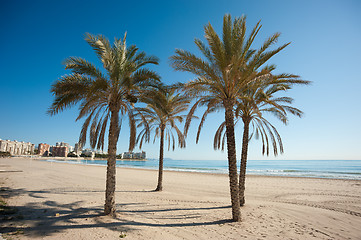 Image showing Muchavista sand beach