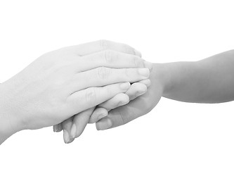 Image showing Hands expressing symbolic sympathies while holding each other 