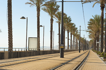 Image showing Alicante tram track