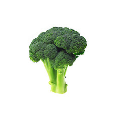 Image showing fresh broccoli isolated on white