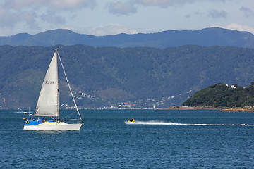 Image showing Wellington harbour