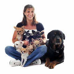 Image showing woman and her dogs