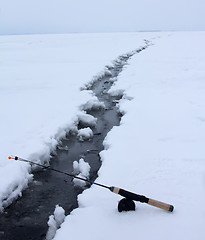 Image showing On a perch  fishing