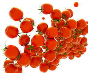 Image showing Tasty red tomatoes flow over white 