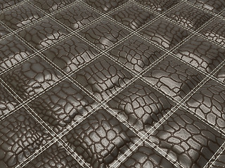 Image showing Alligator skin with stitched rectangles