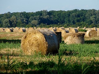 Image showing Baranja