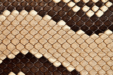 Image showing Snake leather texture