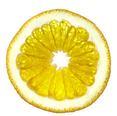 Image showing Slice of an orange on a white background.