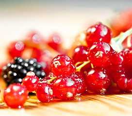 Image showing currants
