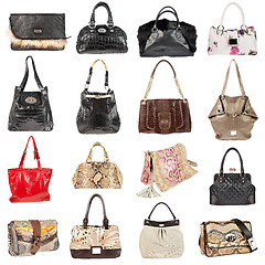 Image showing Female leather handbags on a white background