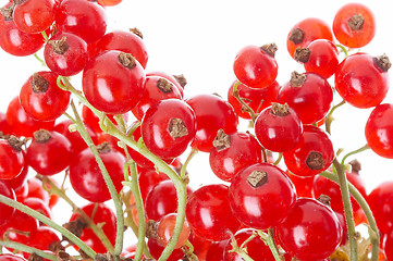 Image showing fresh currant