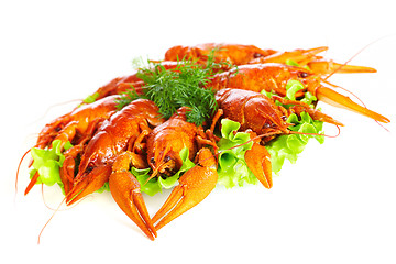 Image showing Boiled crawfish 