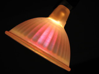 Image showing Halogen bulb light