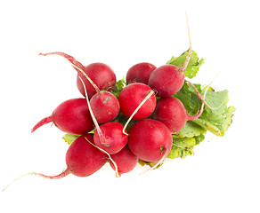 Image showing radish