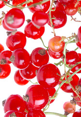 Image showing fresh currant