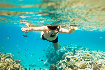 Image showing Snorkeler. Red sea