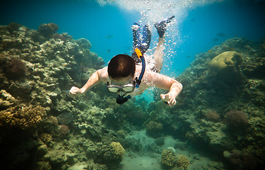 Image showing Snorkeler. Red sea