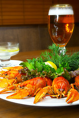 Image showing Crayfishs with beer on a table at restaurant 