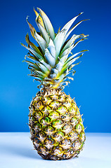 Image showing Pineapple