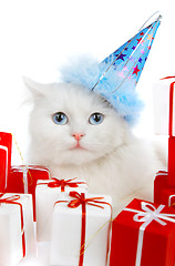 Image showing White cat with gifts