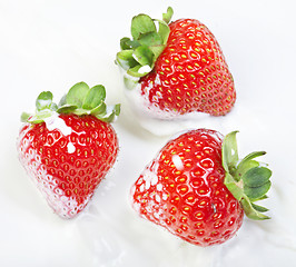 Image showing Strawberry