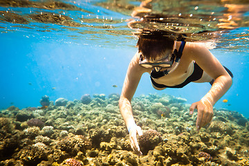 Image showing Snorkeler. Red sea