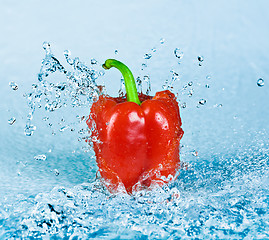 Image showing Pepper and water