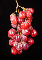 Image showing grapes