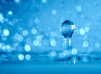 Image showing Drop of a rain close up