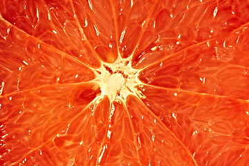 Image showing Grapefruit