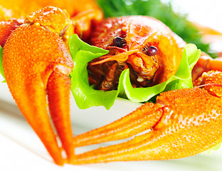 Image showing Boiled crawfish on a white background