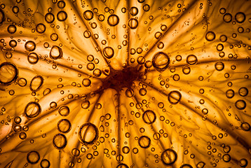 Image showing citrus close up with bubbles, abstract background