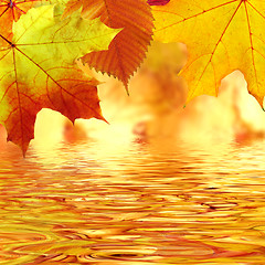 Image showing Autumn leaves over water