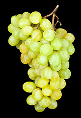 Image showing grapes