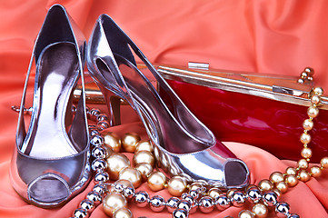 Image showing Female shoes