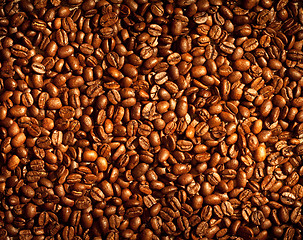 Image showing coffee beans