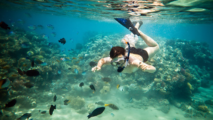 Image showing Snorkeler. Red sea