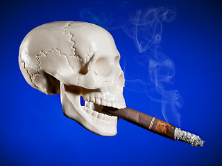 Image showing Smoking skull