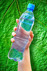 Image showing bottle water